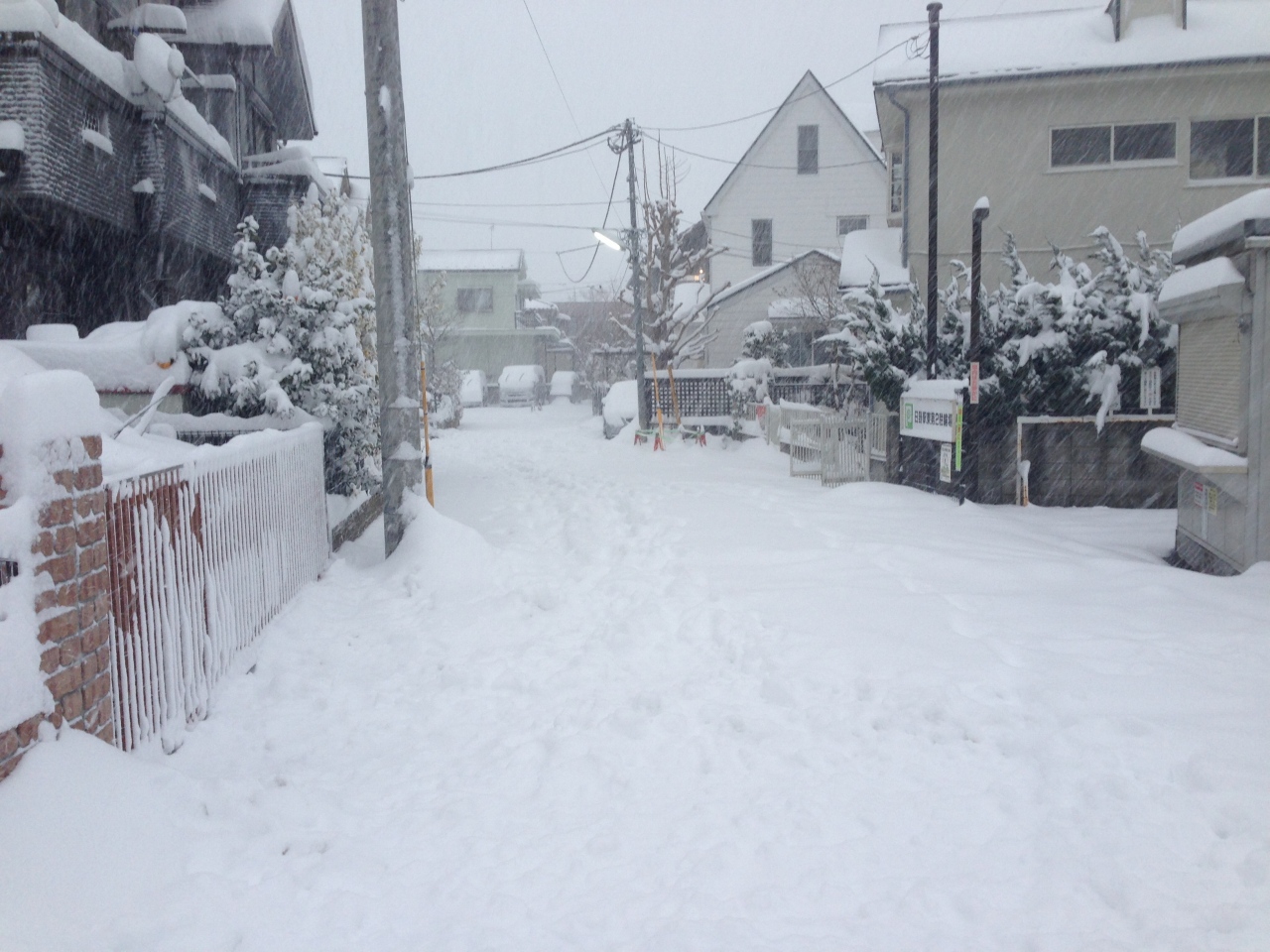 2014年大雪2